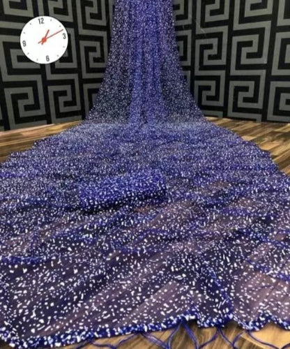 Blue net saree